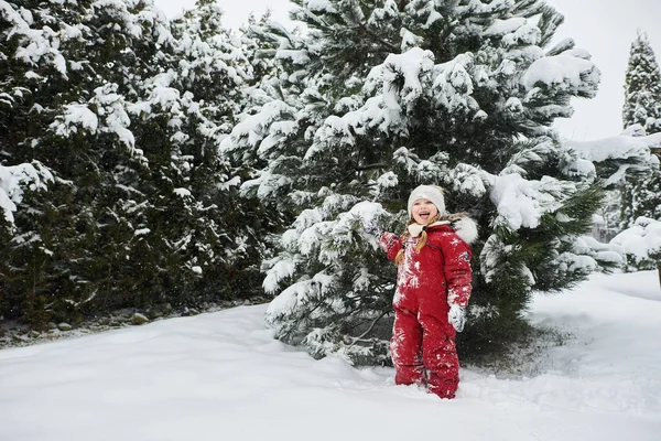 雪に覆われたクリスマスツリーを背景に美しい白人女性の肖像画 — ストック写真