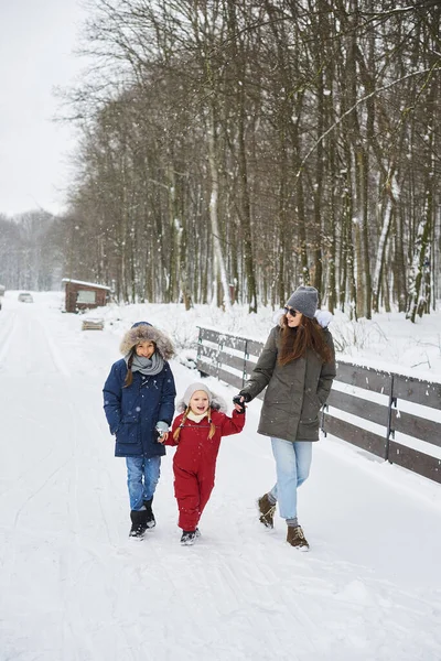 Una portretta di bella giovane madre caucasica con i suoi figli in inverno vicino alla casa con un albero di Natale coperto di neve su uno sfondo — Foto Stock