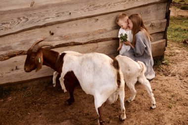 Anne ve oğul çiftlikteki hayvanların arasında yürüyorlar.