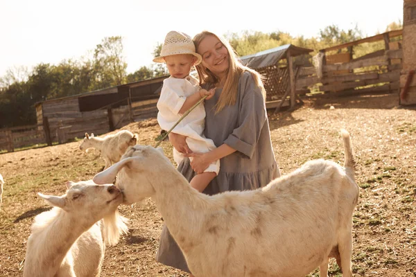 農場の動物たちの間を歩く母親と息子 — ストック写真
