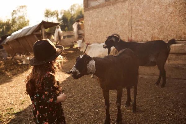 Маленькая Девочка Наслаждается Жизнью Ферме Животными — стоковое фото