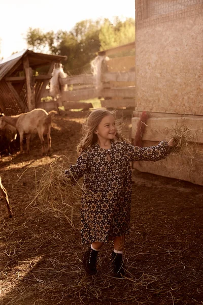 Küçük Bir Kız Hayvanlarla Çiftlikte Olmaktan Hoşlanıyor — Stok fotoğraf