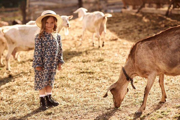 Una Bambina Gode Essere Una Fattoria Con Animali — Foto Stock