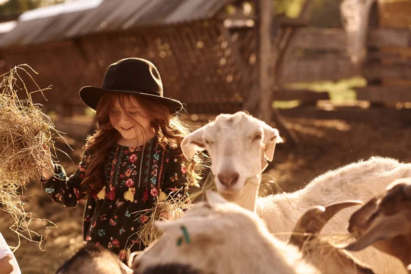 Uma Menina Gosta Estar Uma Fazenda Com Animais — Fotografia de Stock