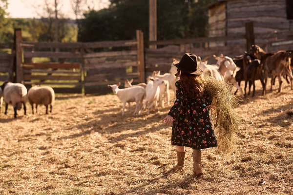 Een Klein Meisje Geniet Van Het Zijn Een Boerderij Met — Stockfoto