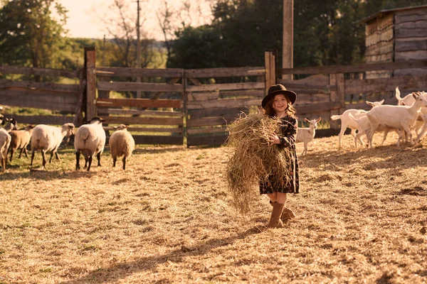Mała Dziewczynka Lubi Przebywać Farmie Zwierzętami — Zdjęcie stockowe