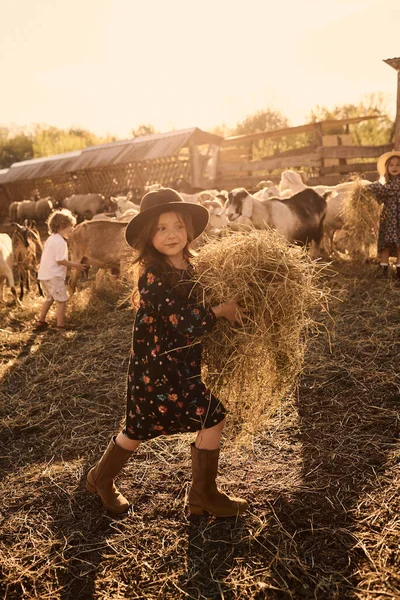 Een Klein Meisje Geniet Van Het Zijn Een Boerderij Met — Stockfoto