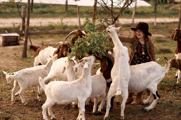 Liten Flicka Njuter Att Vara Gård Med Djur — Stockfoto