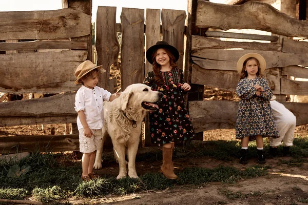 Kinder Spielen Mit Golden Retriever Auf Dem Bauernhof — Stockfoto