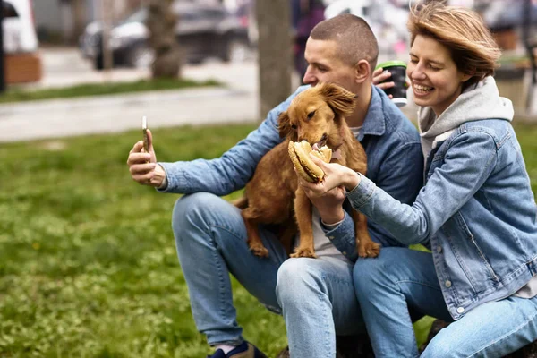 Jovem Casal Com Cão Tendo Fast Food Almoço — Fotografia de Stock