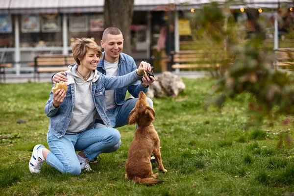 Mladý Pár Psem Mají Rychlé Občerstvení Oběd — Stock fotografie