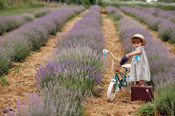 Menina Monta Uma Bicicleta Anda Campo Lavanda — Fotografia de Stock