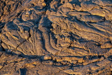 Çamur dokusu veya ıslak kahverengi toprak doğal organik kil ve jeolojik çökelti karışımı. Yağmurlu ve nemli bir iklimde bulunan yağmurdan sonra çamurlu, çamurlu bir bataklıkta olduğu gibi.