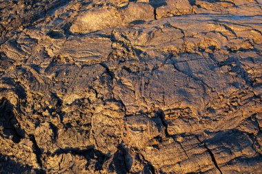 Çamur dokusu veya ıslak kahverengi toprak doğal organik kil ve jeolojik çökelti karışımı. Yağmurlu ve nemli bir iklimde bulunan yağmurdan sonra çamurlu, çamurlu bir bataklıkta olduğu gibi.