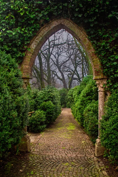 A porta encantada — Fotografia de Stock