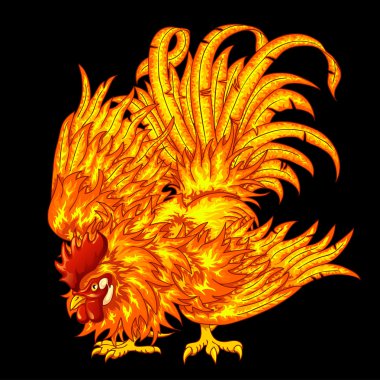 Fighting fiery rooster on a black clipart