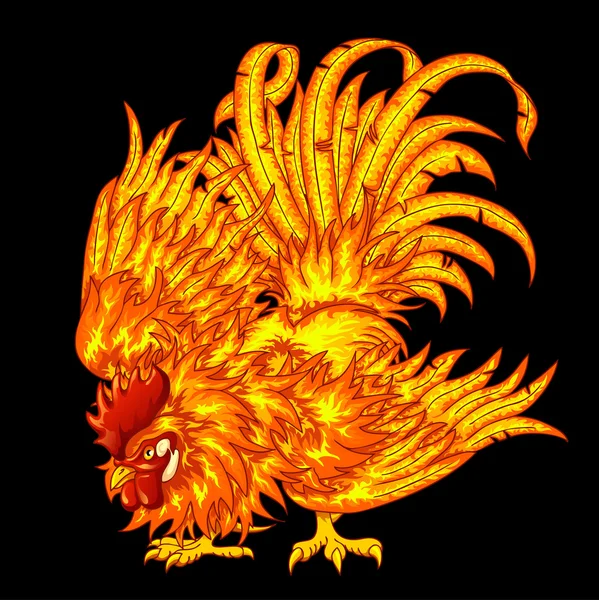 Peleando gallo ardiente en un negro — Vector de stock