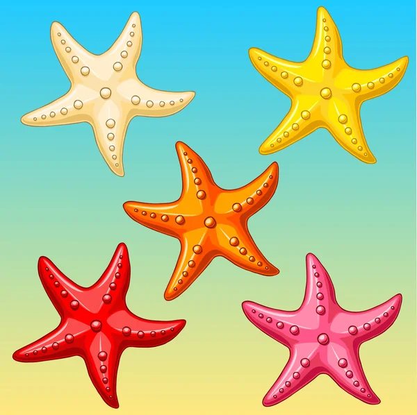 Set cinque stelle marine a colori su giallo-blu — Vettoriale Stock