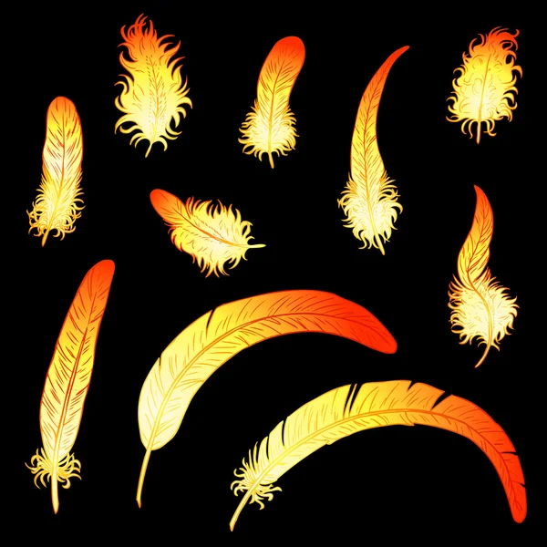 Set fiery feathers of rooster or phoenix — Stock Vector