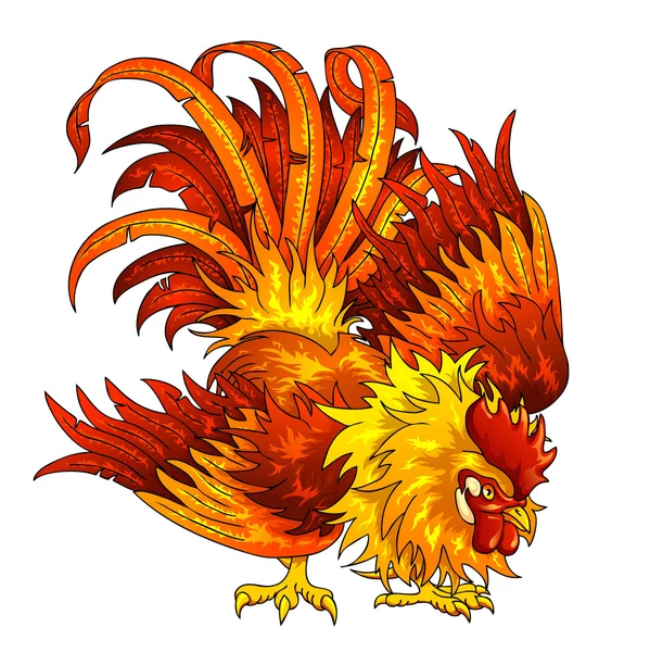 Turuncu-kırmızı horoz beyaz üzerinde mücadele