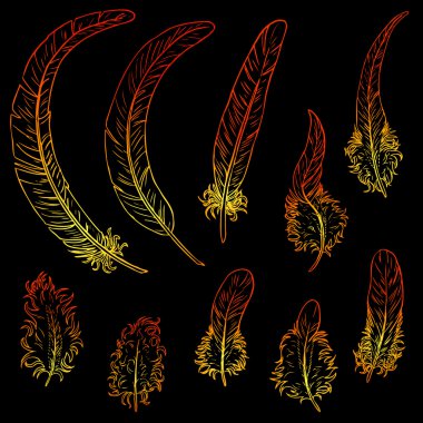 Set contour feathers fiery rooster clipart
