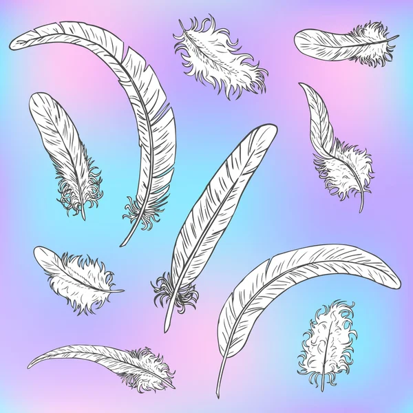 Beyaz tüyler siyah bir kontur ayarla