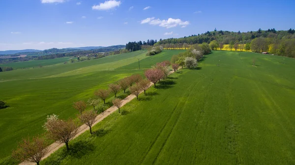 Western Bohemia'deki / kırsal hava fotoğrafı