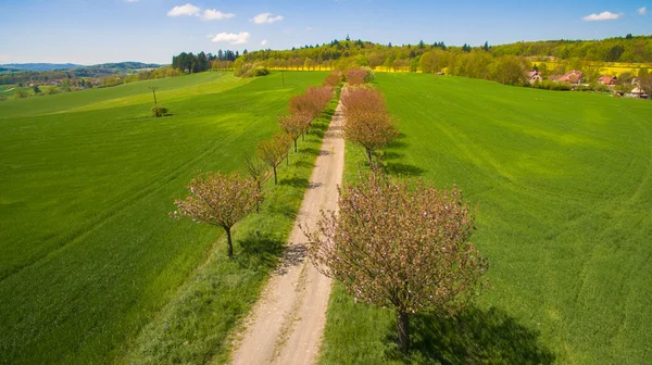 Western Bohemia'deki / kırsal hava fotoğrafı