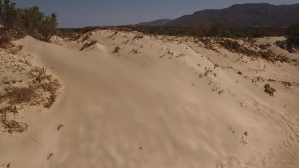 Vídeo aéreo de la playa de Elafonisi, Creta, Grecia — Vídeos de Stock