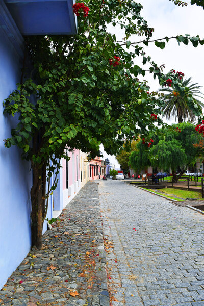 Cobblestone street in Colonia, Uruguay