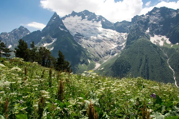 Dağ Dombai, Kafkasya, Rusya Federasyonu — Stok fotoğraf