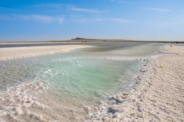 Lago salado, Baskunchak, Rusia Fotos De Stock Sin Royalties Gratis