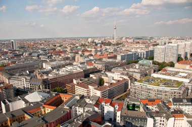 Sahilde deniz kaplumbağası