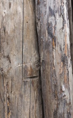 Eski kırık günlük