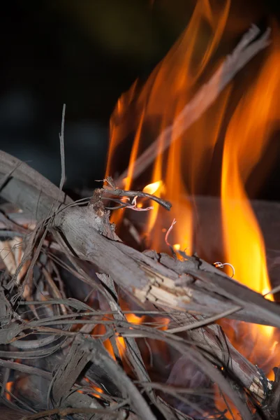 Trockene Zweige brennen — Stockfoto