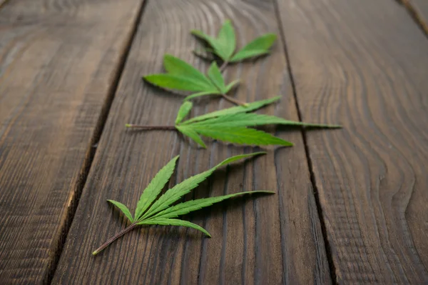 Hojas de cannabis sobre superficie de madera oscura. Primer plano — Foto de Stock