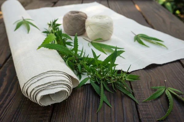 Hojas de cannabis y rollo de tela de cáñamo en el surfac de madera oscura — Foto de Stock