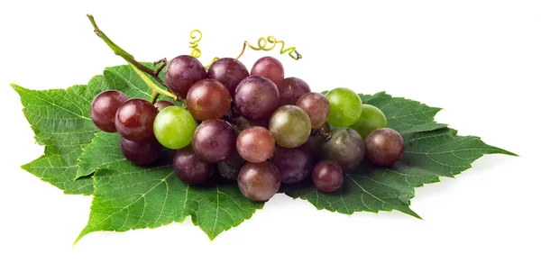 Bunch Grapes Leaves Isolated White — Stock Photo, Image