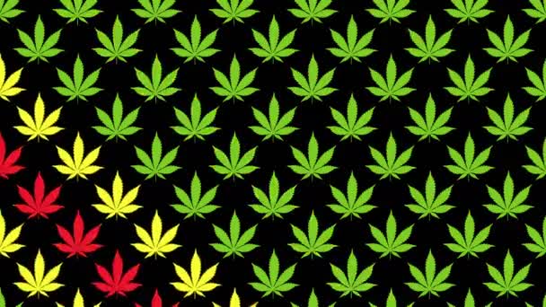 Abstract background of hemp or cannabis leaves. Stop motion animation — Stockvideo