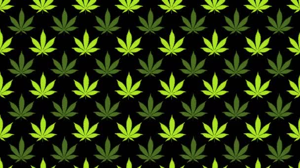 Abstrakter Hintergrund von Hanf- oder Cannabisblättern. Stop-Motion-Animation — Stockvideo