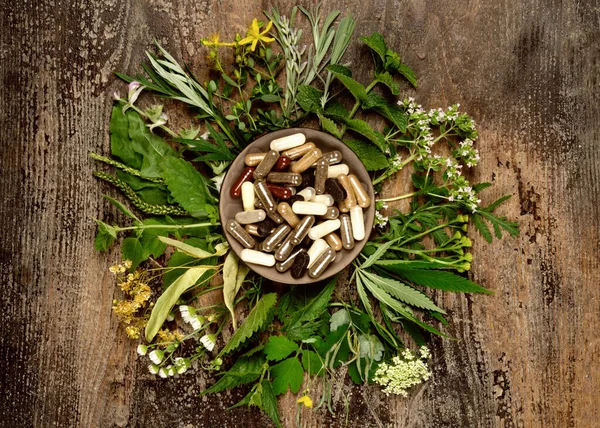 Cápsulas com suplementos dietéticos ou medicamentos e ervas medicinais frescas — Fotografia de Stock