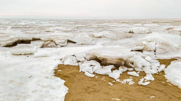 겨울에는 해변에서 얼음으로 혹등고래 — 스톡 사진