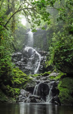 Waterfall in the Forest clipart