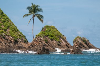Isla Ballena (balina Adası) Kosta Rika