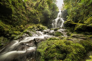 Waterfall flowing through green mold rocks clipart