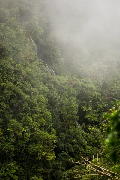 Kleine waterval stroomt door de jungle — Stockfoto