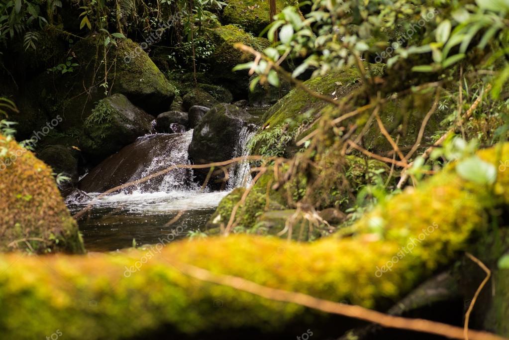 Pequeña Cascada Que Fluye A Través De La Selva 2023