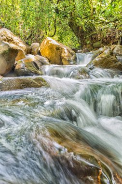 Kayaların arasından akan nehir