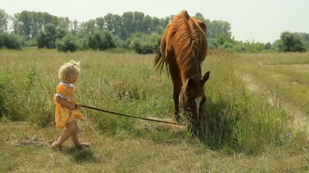 Chica y caballo al aire libre — Vídeo de stock