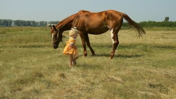 Ragazza e cavallo all'aperto — Video Stock